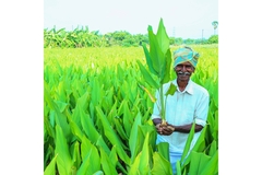 Image Image
